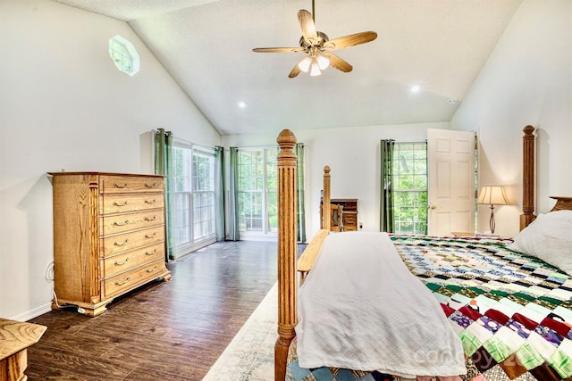 bedroom with multiple windows, dark hardwood / wood-style flooring, high vaulted ceiling, and ceiling fan