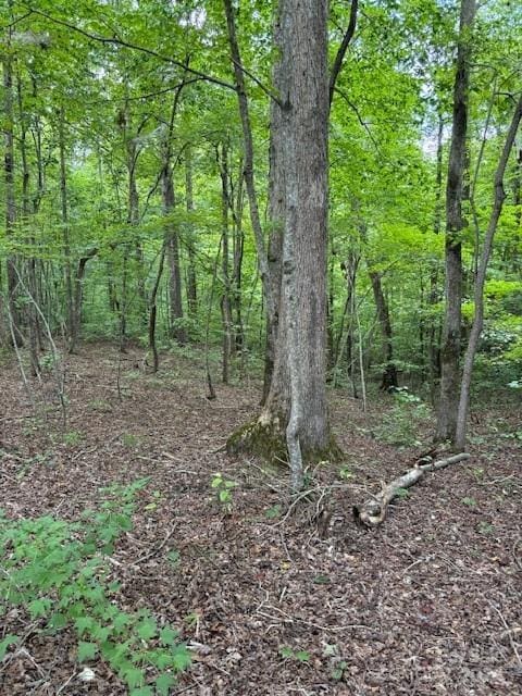 00 Timber Rd, Iron Station, NC 28080 - photo 1