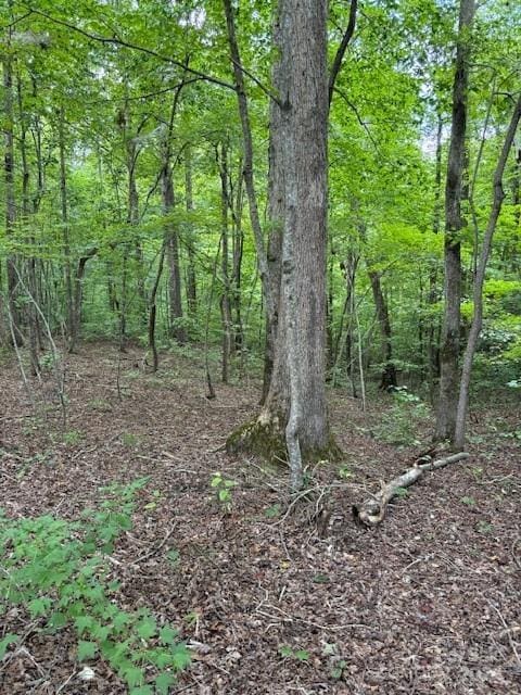 00 Timber Rd, Iron Station NC, 28080 land for sale