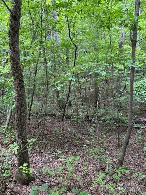 00 Timber Rd, Iron Station, NC 28080 - photo 2