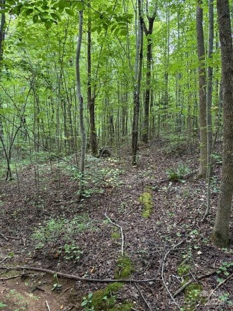 00 Timber Rd, Iron Station, NC 28080 - photo 3