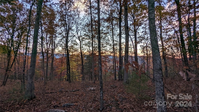 Listing photo 3 for 512 Wild River Run Unit 65, Marshall NC 28753