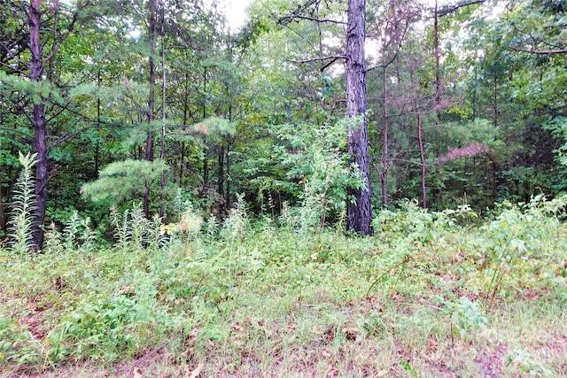 Listing photo 2 for 0000 Gun Club Rd, Stony Point NC 28678