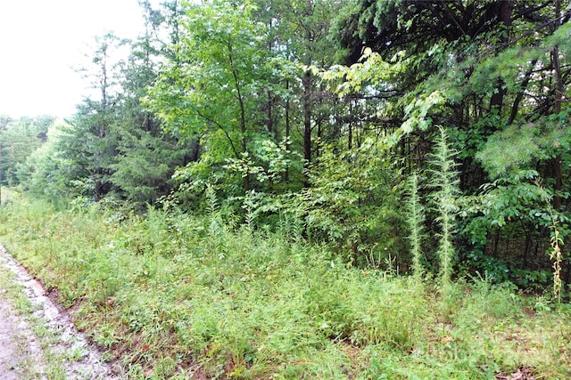 Listing photo 3 for 0000 Gun Club Rd, Stony Point NC 28678