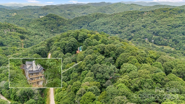 birds eye view of property with a mountain view