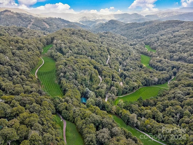 drone / aerial view with a mountain view