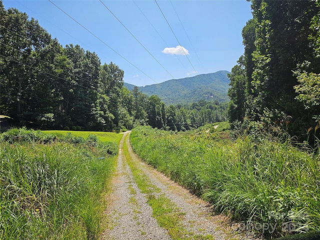 0000 Sweetwood Trl, Black Mountain NC, 28711 land for sale