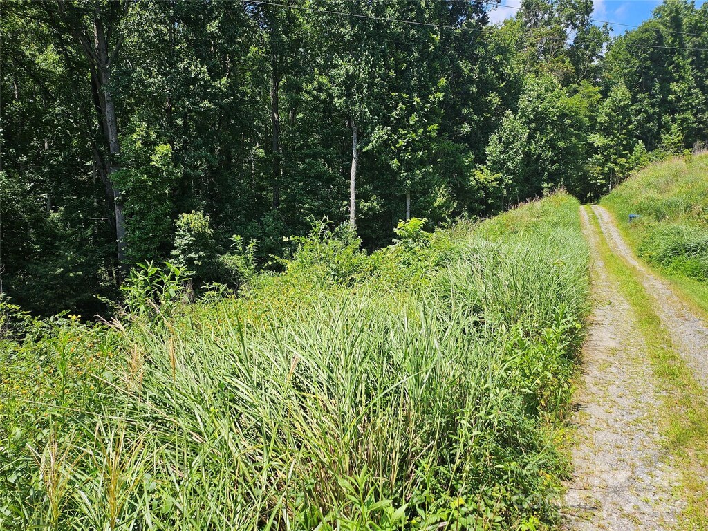 0000 Sweetwood Trl, Black Mountain, NC 28711 - photo 2