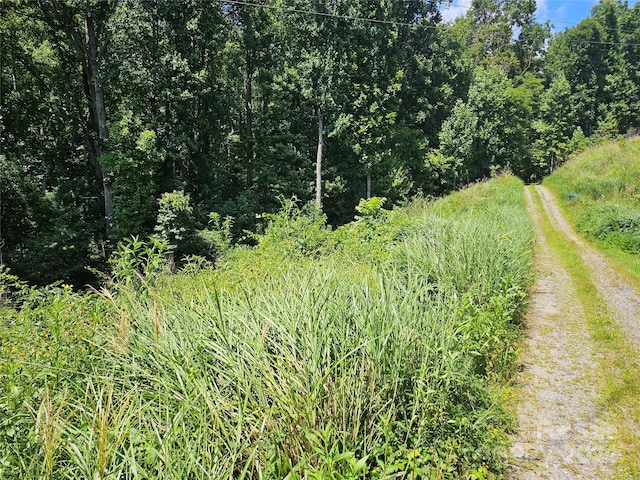 0000 Sweetwood Trl, Black Mountain, NC 28711 - photo 2
