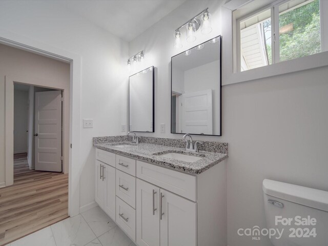 bathroom with hardwood / wood-style flooring, vanity, and toilet