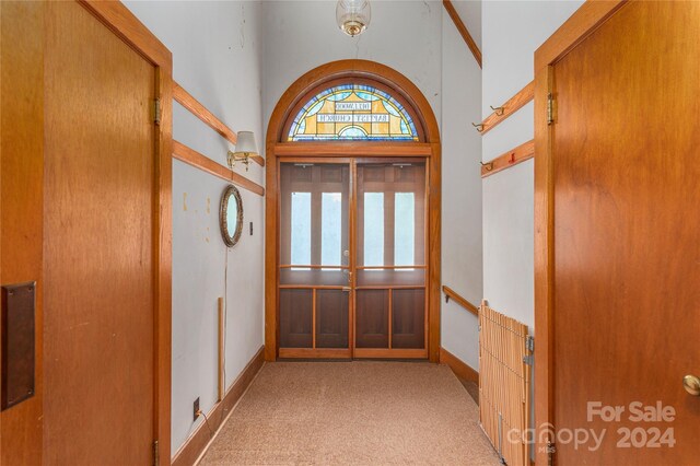 interior space with light colored carpet