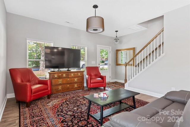 living room with wood-type flooring