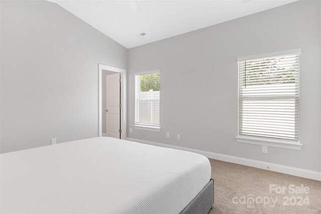 bedroom featuring lofted ceiling and carpet floors