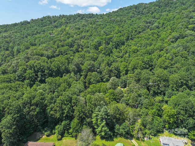 Listing photo 3 for TBD Auther Autrey Dr, Spruce Pine NC 28777