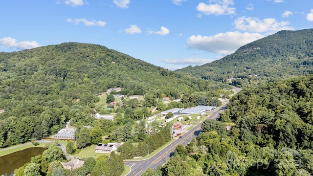 aerial view featuring a view of trees and a water and mountain view