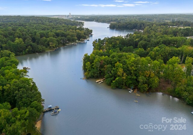 bird's eye view with a water view and a view of trees