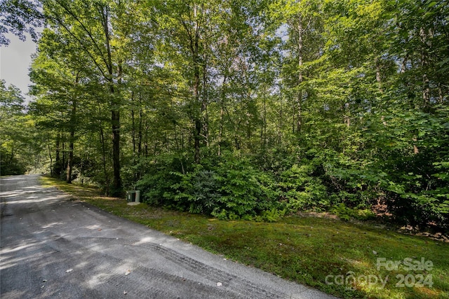 LOT7 Sweetwater Ridge Rd Unit 7, Balsam Grove NC, 28708 land for sale