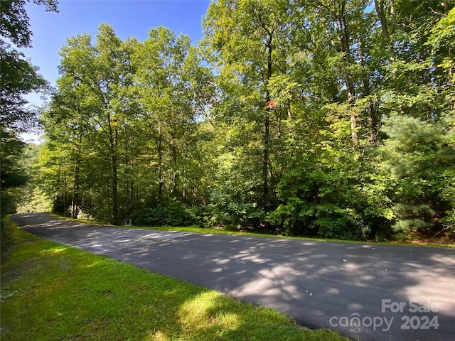 Listing photo 3 for LOT7 Sweetwater Ridge Rd Unit 7, Balsam Grove NC 28708