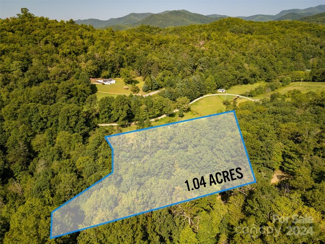 LOT7 Sweetwater Ridge Rd Unit 7, Balsam Grove, NC 28708