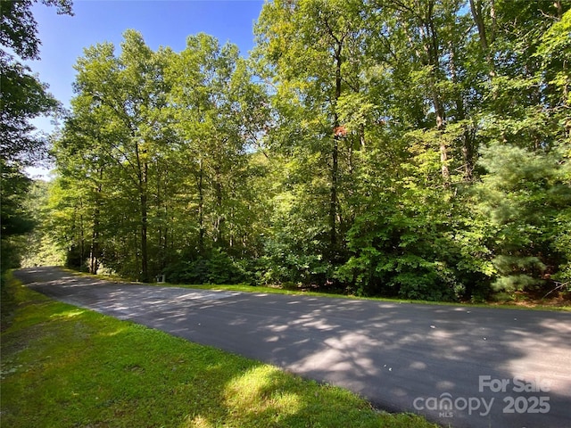 LOT7 Sweetwater Ridge Rd Unit 7, Balsam Grove, NC 28708 - photo 4