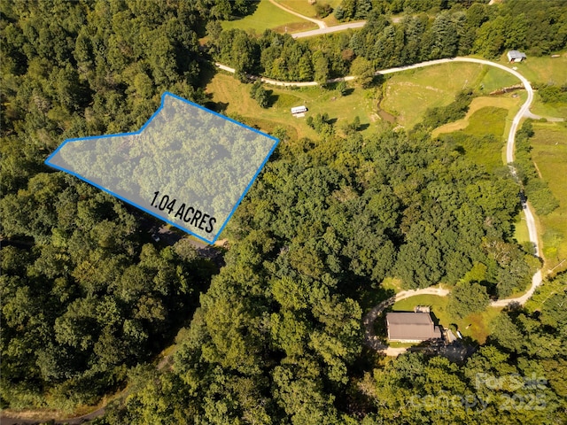 LOT7 Sweetwater Ridge Rd Unit 7, Balsam Grove, NC 28708 - photo 8