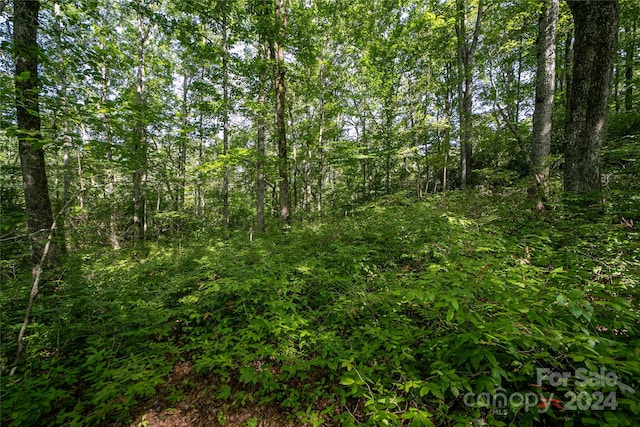 Listing photo 3 for LOT8 Sweetwater Ridge Rd Unit 8, Balsam Grove NC 28708