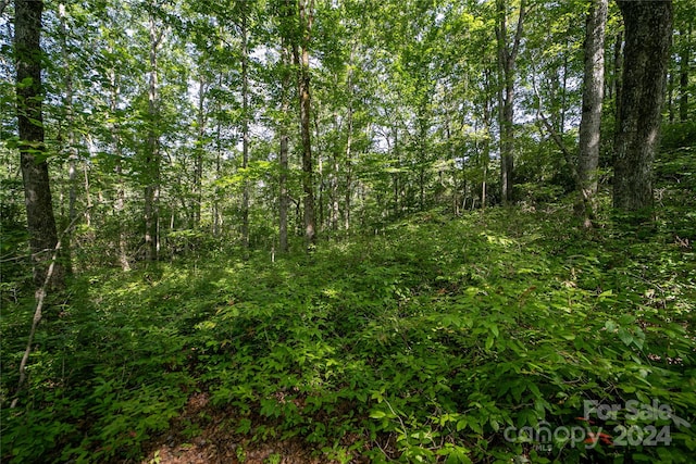 LOT8 Sweetwater Ridge Rd Unit 8, Balsam Grove, NC 28708