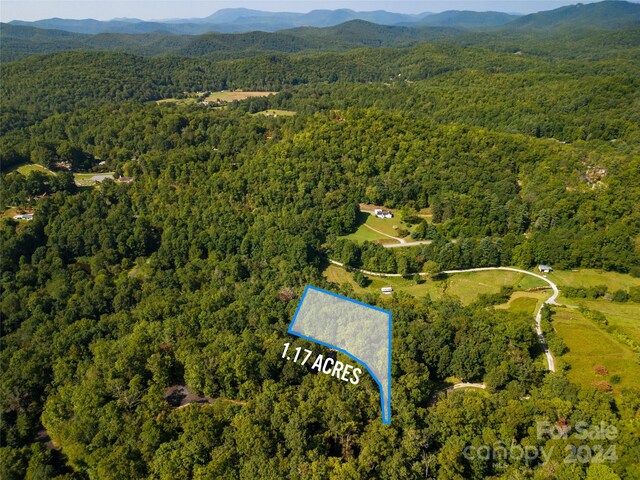 LOT8 Sweetwater Ridge Rd Unit 8, Balsam Grove, NC 28708