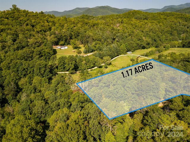LOT8 Sweetwater Ridge Rd Unit 8, Balsam Grove, NC 28708