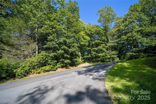 LOT8 Sweetwater Ridge Rd Unit 8, Balsam Grove, NC 28708 - photo 3