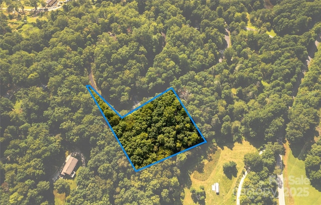 LOT8 Sweetwater Ridge Rd Unit 8, Balsam Grove, NC 28708 - photo 7