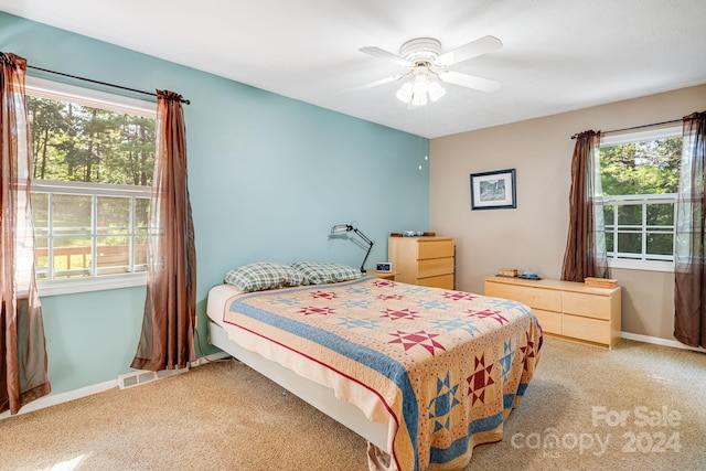 19 Brookcliff Dr, Asheville, NC 28804 - bedroom with light colored carpet, baseboards, and ceiling fan