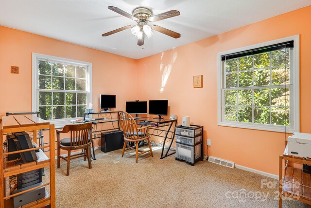 carpeted office space with a wealth of natural light and ceiling fan