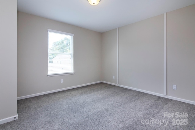 empty room featuring carpet floors