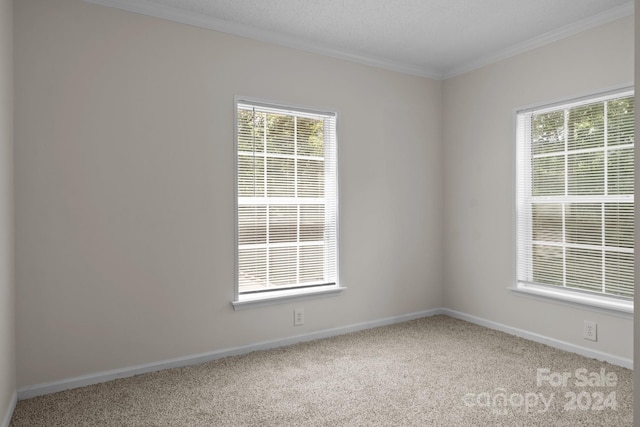 carpeted spare room featuring crown molding