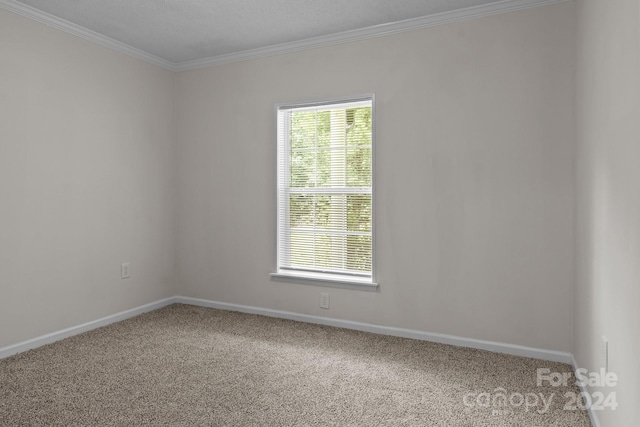 carpeted empty room featuring crown molding