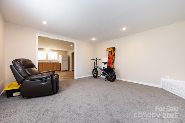 sitting room with carpet floors