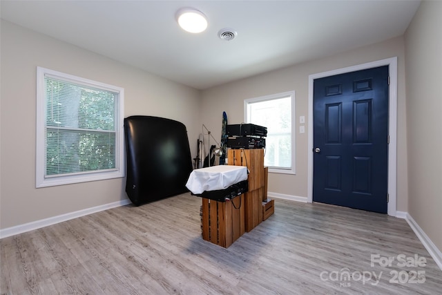 interior space with light hardwood / wood-style floors and a wealth of natural light