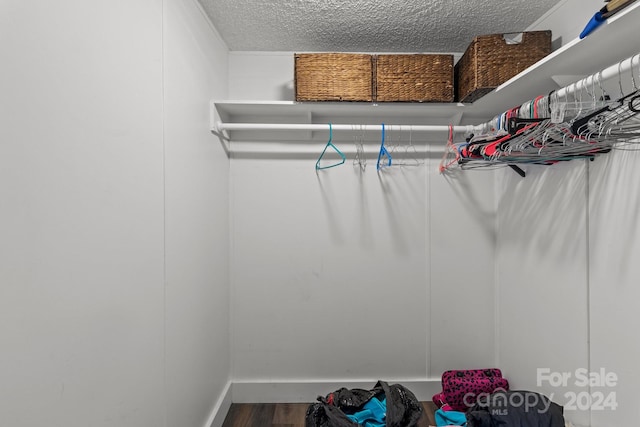 spacious closet with wood-type flooring