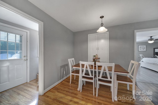 dining space featuring ceiling fan and light wood-type flooring