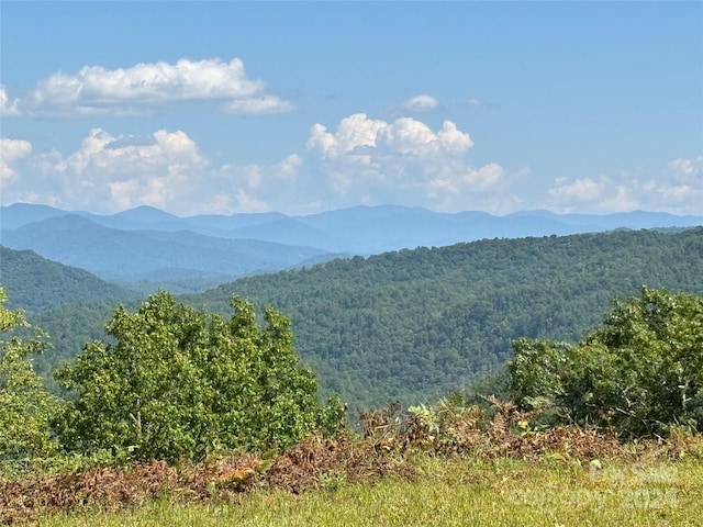 111 Little Bear Rd, Bryson City NC, 28713 land for sale