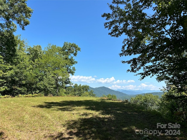 Listing photo 3 for 111 Little Bear Rd, Bryson City NC 28713