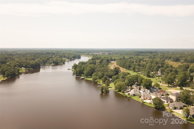 bird's eye view with a view of trees and a water view