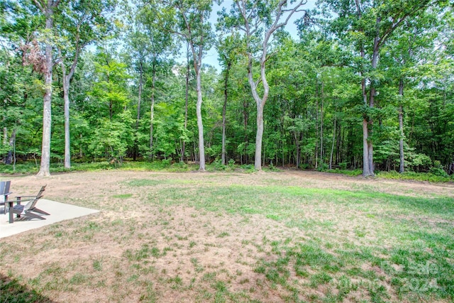 14941 Deer Hollow Dr, Gold Hill, NC 28071 - view of yard featuring a patio and a forest view