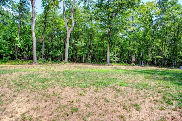 14941 Deer Hollow Dr, Gold Hill, NC 28071 - view of yard with a forest view