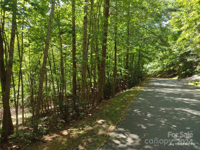 LOT12 Wilkerson Ct Unit 12, Lake Lure NC, 28746 land for sale