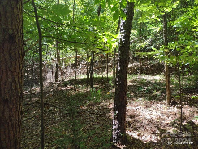 Listing photo 2 for LOT12 Wilkerson Ct Unit 12, Lake Lure NC 28746