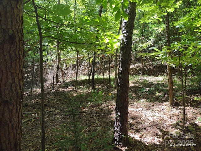 Listing photo 2 for LOT12 Wilkerson Ct Unit 12, Lake Lure NC 28746