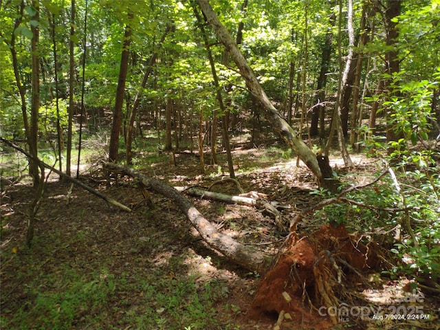 Listing photo 3 for LOT12 Wilkerson Ct Unit 12, Lake Lure NC 28746