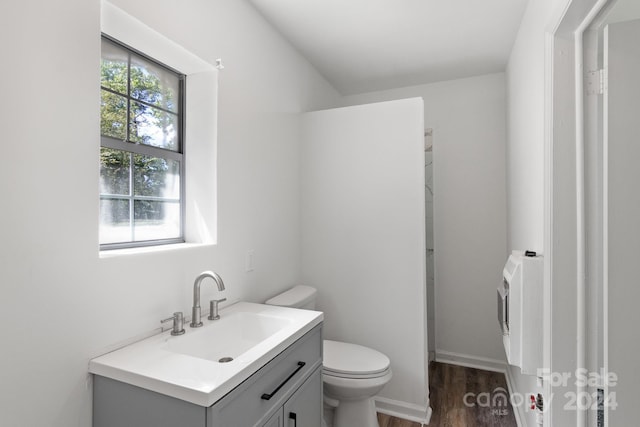 bathroom with hardwood / wood-style flooring, vanity, and toilet